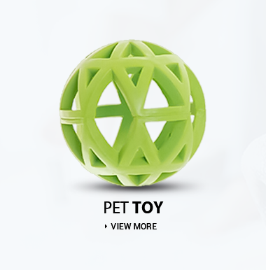 Pet Toy