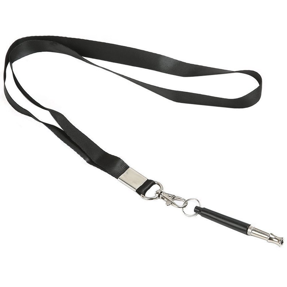  Ultrasonic Adjustable Frequencies Stainless Steel Metal Training Pet Dog Whistle with Lanyard To Stop Barking