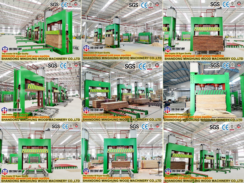 cold press MINGHUNG tekan dingin