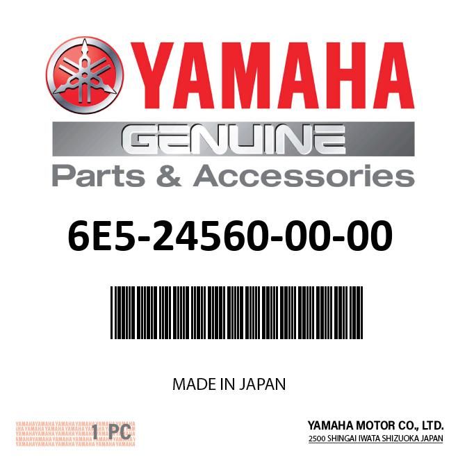 6E5-24560-00-00 Conjunto de filtro de combustible para Yamaha fueraborda