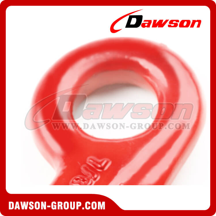 Gancho de agarre con ojo DS085 G80 - Dawson Group Ltd. - Proveedor de China