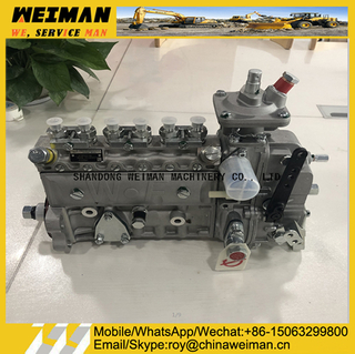 3913902 DCEC 6BT Engine Parts Injection Pump 