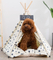 Hot Sale Soft Warm Comfortable Pet Teepee Dog Tent High Quality Cushion Foldable Pine Poles Rectangle Shape Fashionable Design