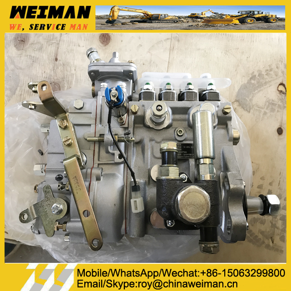 WP4 Engine Parts 4110002925025 1000185678 Injection Pump