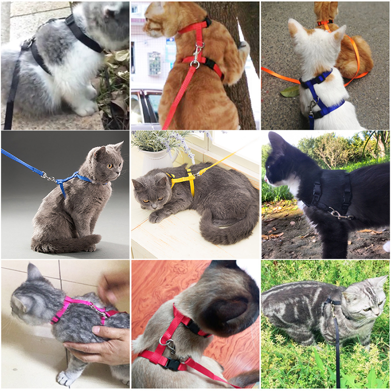 10 Color Adjustable Pet Cat Collar For Cats Cozy Nylon Rabbit Kitten Kedi Harness Leash Set