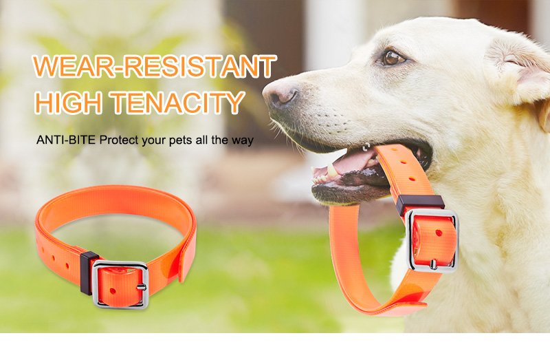 High Tenacity Pet Training Collar
