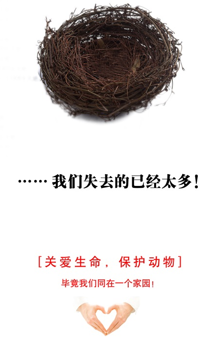 百强橡塑-全能皮腰带,环保腰带-为保护动物贡献自己的一份力量！