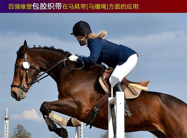 BWIN必赢橡塑&middot;包胶织带过胶织带作用于-马具带应用场景i.jpg