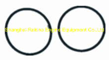 Cummins KTA19 Injector seal O ring 3010510 205216