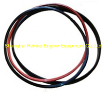 Cummins KTA19 Seal ring 3011076