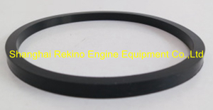 Cummins ISDE ISBE water pump seal ring 3906698