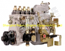 Yuchai engine parts fuel injection pump D10LD-1111100A-493
