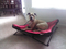 Metal Pet Bed Bone Lounger Dog Camping Bed