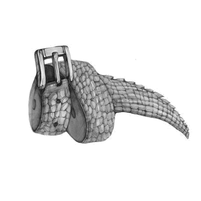 十大腰带品牌-鳄鱼