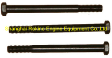 Cummins KTA19 bolt screw 137868