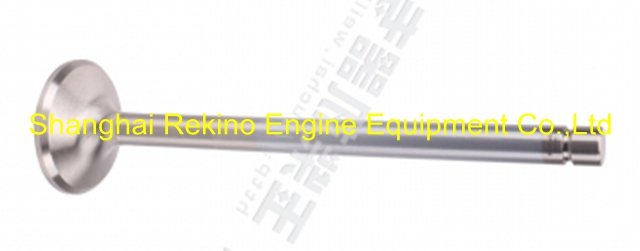 Yuchai engine parts exhaust valve CD100-1003103