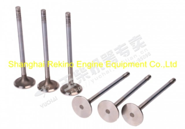 Yuchai engine parts intake valve J5600-1003111