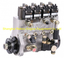 Yuchai engine parts fuel injection pump D2000-1111100B-493