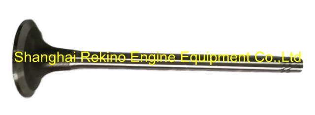 CCEC Cummins engine parts NT855 exhaust valve 145701