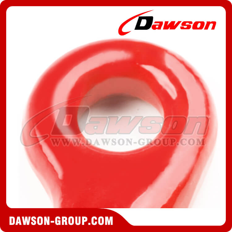 DS027 G80 Gancho de agarre con ojo - Dawson Group Ltd. - Proveedor de China