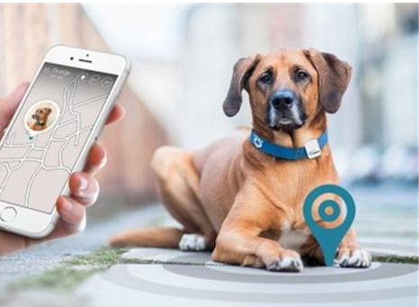智能宠物项圈, 智能项圈, 宠物训练器-可定位宠物位置