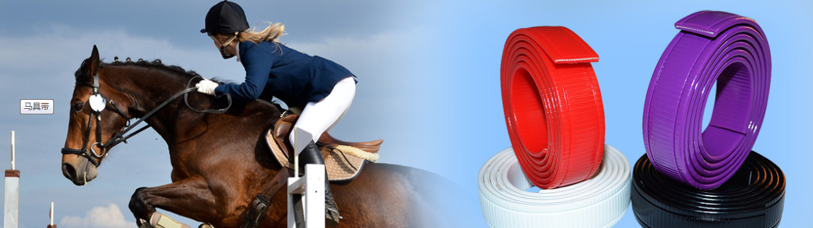 百强-马具带, 马笼头, 马缰绳-源头生产厂家
