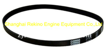 Cummins NT855 water pump belt 217638
