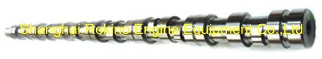 Cummins NT855 Camshaft 3090874