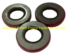 Cummins KTA19 Oil seal 206948