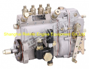 Yuchai engine parts fuel injection pump D7004-1111100A-493