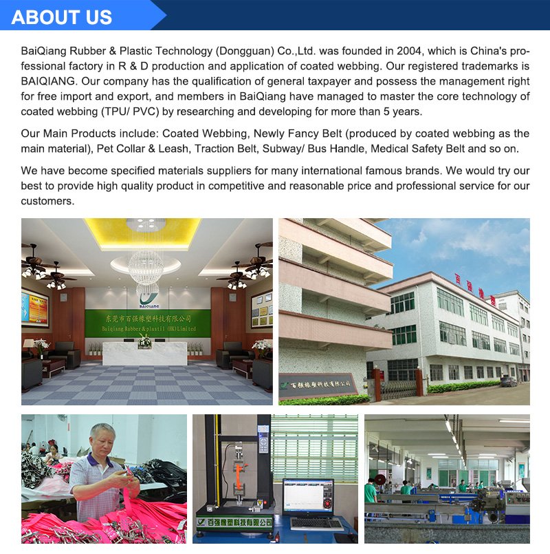 General Introduction of our company Baiqiang