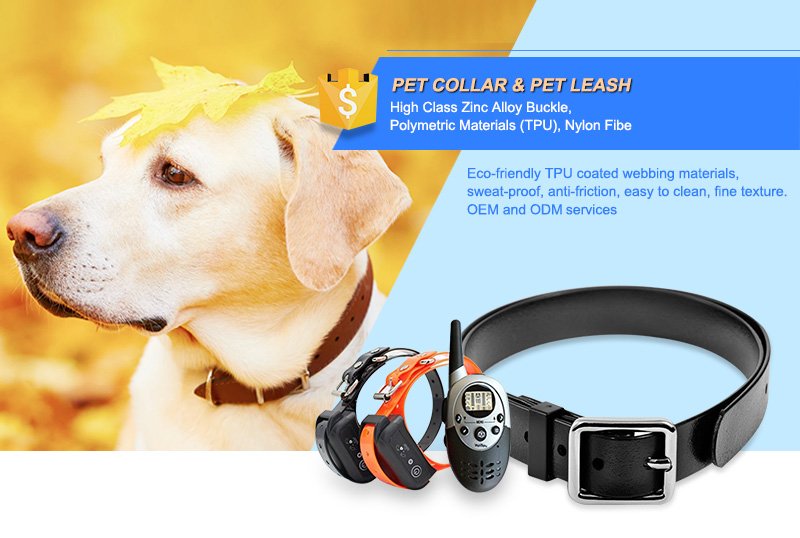 Pet Training Collar