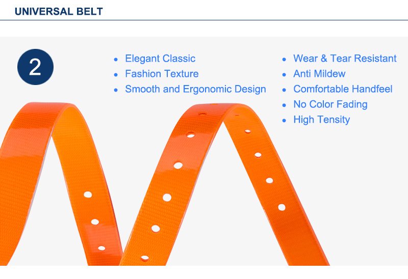 Universal Belt