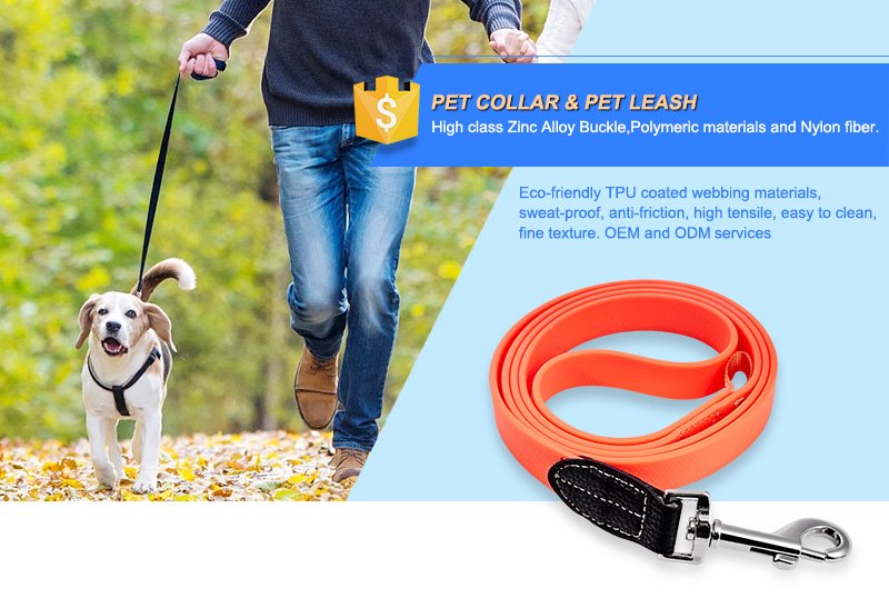 pet colars and pet leashes