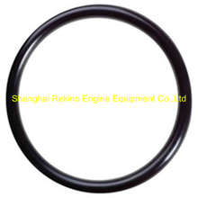 Cummins NT855 Seal O ring 212161