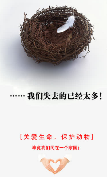 百强-织带涂胶, tpu包胶织带, 过胶织带, pvc包胶织带-生产厂家为环保出份力