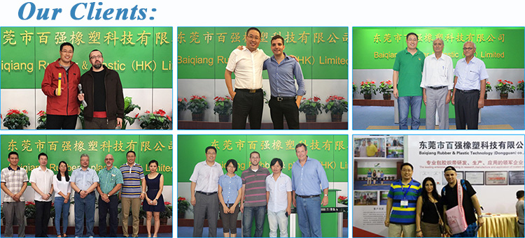 reflective dog collar, fluorescent dog collar, gleamy dog collar, sheen dog collar, illnescent dog collar