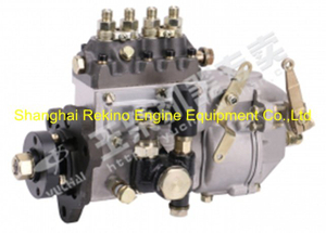 Yuchai engine parts fuel injection pump D7300-1111100B-351