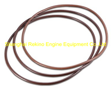 O ring C62.02.04.0002 for Weichai engine parts CW200