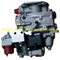 PT fuel injection pump 4951523 for Cummins NT855-C250S10
