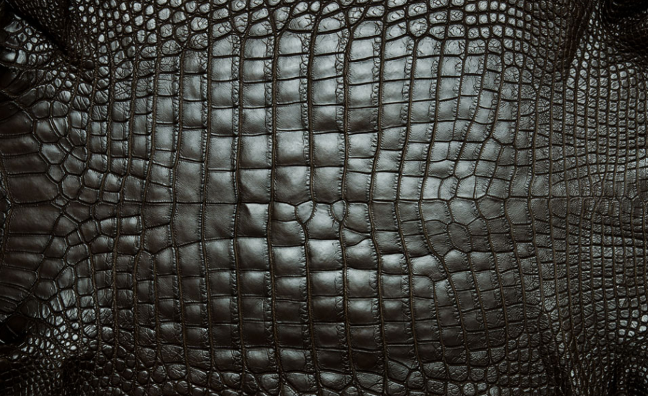 如何选择一条性价比高的皮带腰带？-鳄鱼皮