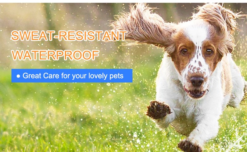 Sweat-resistant and waterproof pe training collar