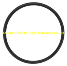 Cummins KTA19 Seal O ring 205898