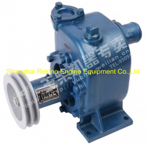 Yuchai engine parts sea water pump 120-1017020