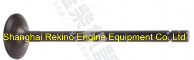 Yuchai engine parts intake valve M2A00-1003111C