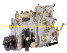 Yuchai engine parts fuel injection pump D0300-1111100-493