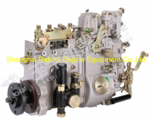 Yuchai engine parts fuel injection pump D0300-1111100-493