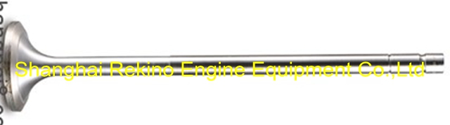 N21-01-019A intake valve Ningdong engine parts for N210 N6210 N8210