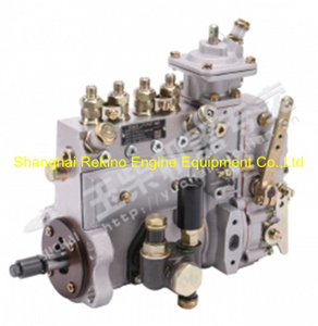 Yuchai engine parts fuel injection pump D7700-1111100A-493