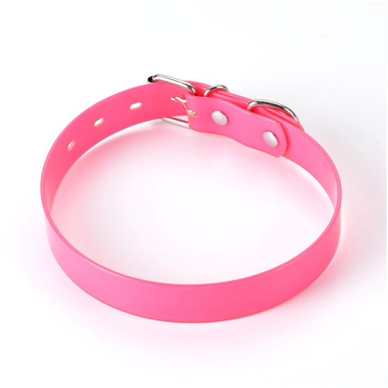 BWIN必赢-包胶织带制作的宠物项圈